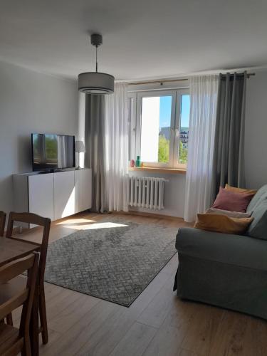 a living room with a couch and a tv at Apartament Mech i Paproć in Ruciane-Nida