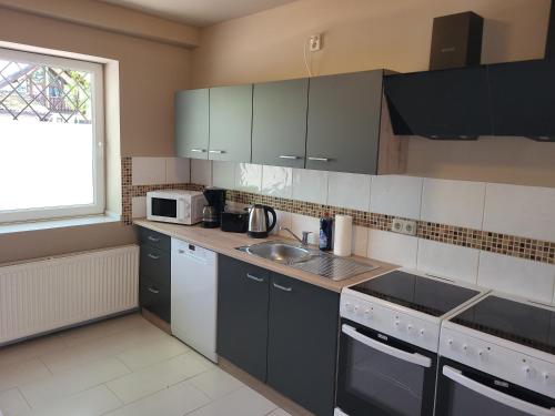 a kitchen with a sink and a microwave at HK-Vermietung in Brieselang