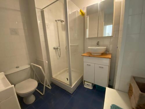 une salle de bain avec une douche, des toilettes et un lavabo dans l'établissement Palavas studio vue mer, à Palavas-les-Flots