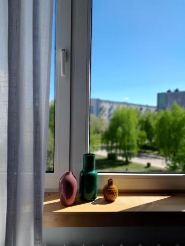 a window sill with bottles and vases on it at Apartament Mech i Paproć in Ruciane-Nida
