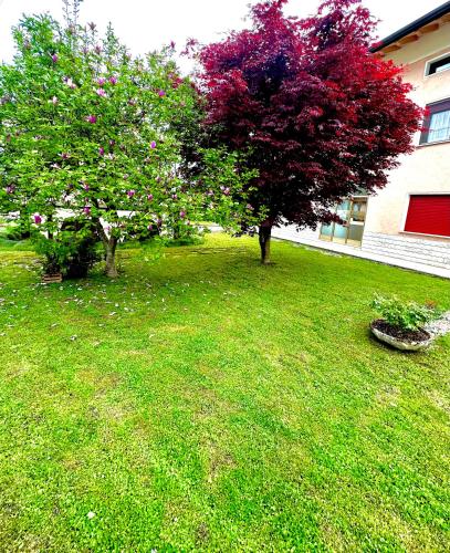 two trees in a yard next to a building at Villa Serena B&B Seren del Grappa in Seren del Grappa