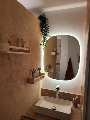 une salle de bain avec un lavabo et un miroir dans l'établissement Appartement calme avec vue montagnes marseille, à Marseille