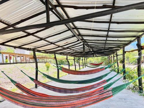 a row of hammocks sitting under a roof at Finca la playita in Jordán
