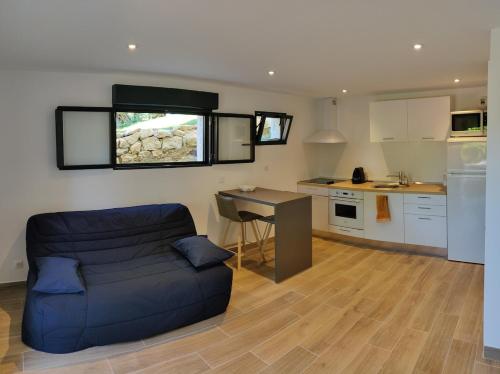 un salon avec un canapé et une cuisine dans l'établissement Mouans Sartoux studio with pool access, à Mouans-Sartoux