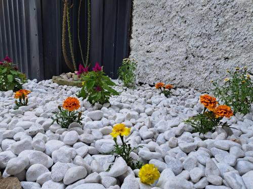 a garden of rocks and flowers in front of a building at Apartments Orlić - Self check-in with code, WI-FI, Netflix, smart TV, garden in Zagreb
