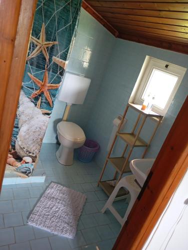 a bathroom with a toilet and a starfish wall at THE PALM ROOMs in Preveza