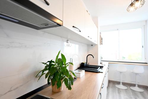 Η κουζίνα ή μικρή κουζίνα στο Victoria Apartment