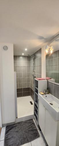 Koupelna v ubytování Studio, Mons Sart, proche Lille et métro