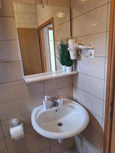 a bathroom with a sink and a mirror at Apartmani Martinović in Vir