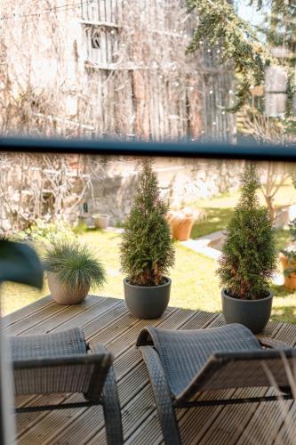 three plants in pots sitting on a wooden table at Black Princess in Cēsis