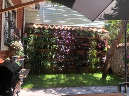 Antalya kaleiçi müstakil kişiye özel bahçeli müstakil VİLLA