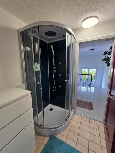bagno con doccia in vetro e pavimento piastrellato di Eco Home a Zurigo