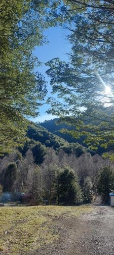 a view of a field with trees and a mountain at Cafeteria y Cabañas Eluney - Llaurel in Pucón