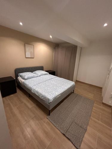 a bedroom with a bed and a rug at Spacious house - garden, Netflix & shops in Béguey