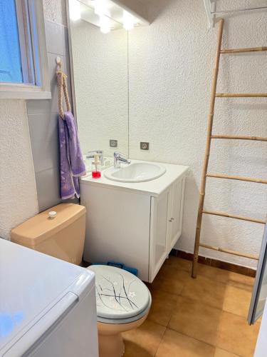 La salle de bains est pourvue de toilettes, d'un lavabo et d'une échelle. dans l'établissement Mazet très calme, dans la colline, plage 10 mins à pied, au Lavandou