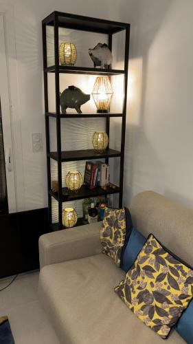 un salon avec un canapé et une étagère dans l'établissement Île Rousse - Vue mer, à La Celle-sous-Gouzon