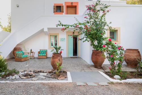a house with two large vases with flowers in it at Villa Panagiota, Pefkos in Pefki Rhodes
