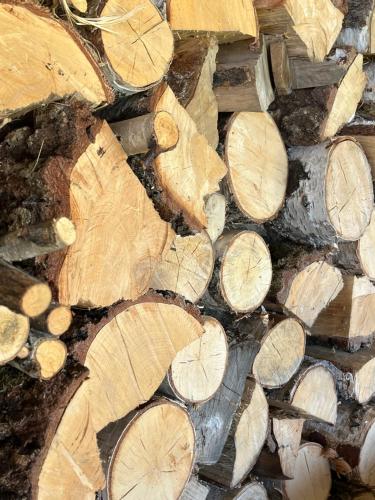 Gambar di galeri bagi Osobie - dom z widokiem na góry di Ochotnica Dolna