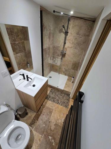 a bathroom with a shower and a sink and a toilet at Le Loft in Le Pradet