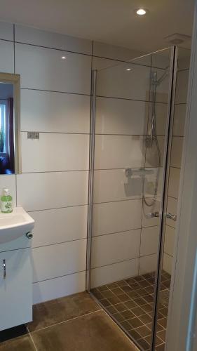 a bathroom with a shower and a sink at Studio apartment 48m2 in Hølera
