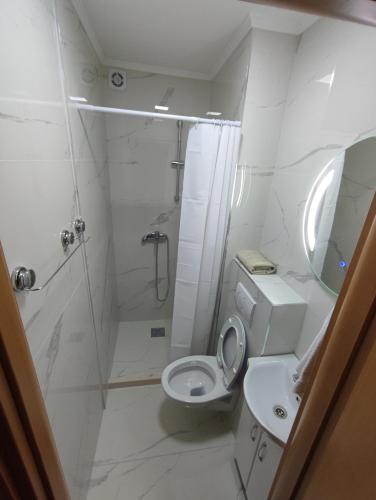 a white bathroom with a toilet and a shower at Villa Vista Real in Kotor