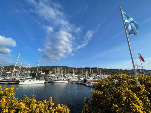 a bunch of boats are docked in a marina at The Steading at Barmore in Tarbert