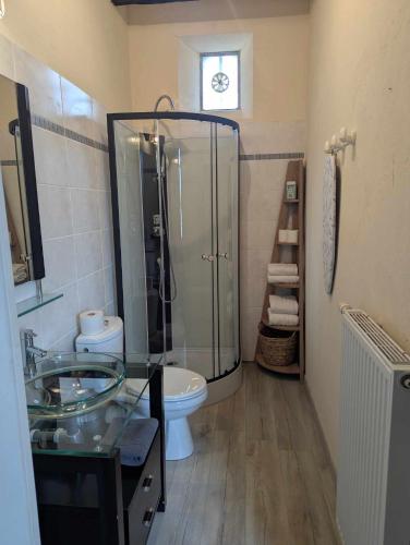 une salle de bain avec une douche en verre et des toilettes dans l'établissement Studio centre ville, à Bellême
