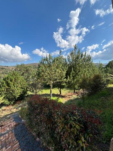 a garden with trees and a brick path at The house in the mountains in Tinjacá