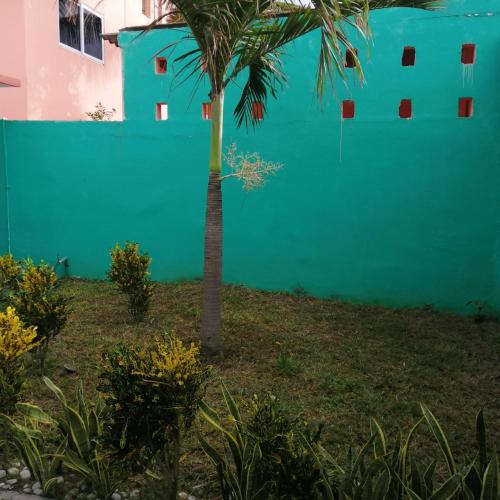 Κήπος έξω από το Casa Vargas Veracruz