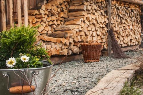 a pile of fire wood next to a building at Almhütte Falkert in Patergassen
