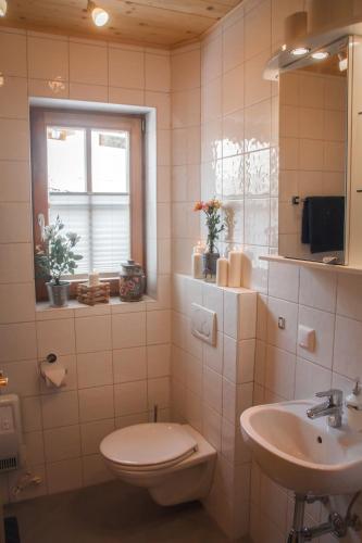 a bathroom with a toilet and a sink and a window at Almhütte Falkert in Patergassen