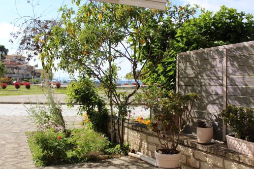 a garden with trees and plants in pots at Fissas Rooms in Sivota