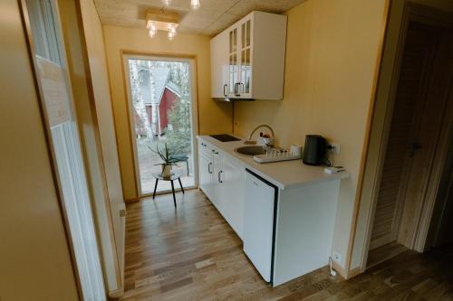 a small kitchen with a sink and a counter at Rītu atpūtas namiņi in Talsi
