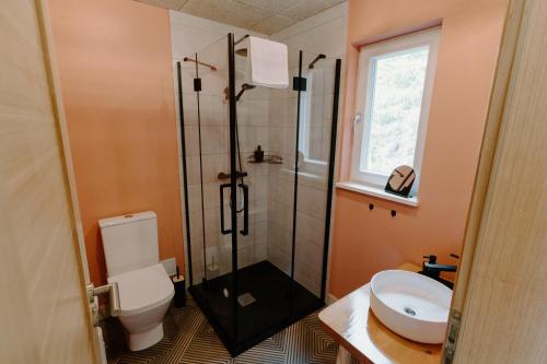 a bathroom with a shower and a toilet and a sink at Rītu atpūtas namiņi in Talsi