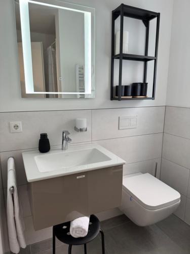 a bathroom with a sink and a toilet and a mirror at Apartment Montabaur Heiligenroth in Heiligenroth