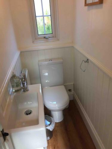 a bathroom with a white toilet and a sink at High House Cottage - A traditional home from home in St Bees