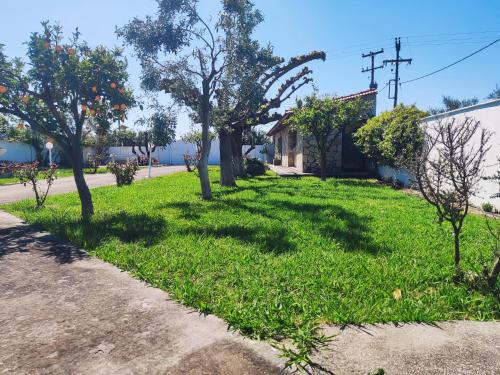 a green yard with trees on the side of a street at White Villa in Nafpaktos