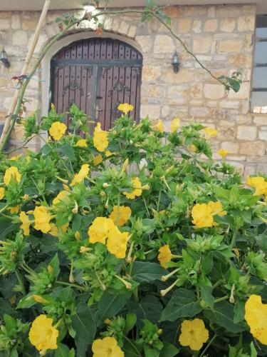 a bush of yellow flowers in front of a window at Dana Mount View the highest hotel in Jordan in Dana