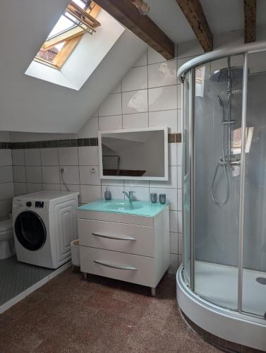 une salle de bain avec douche et lavabo et une machine à laver dans l'établissement Appartement comble en centre ville de Bellême, à Bellême