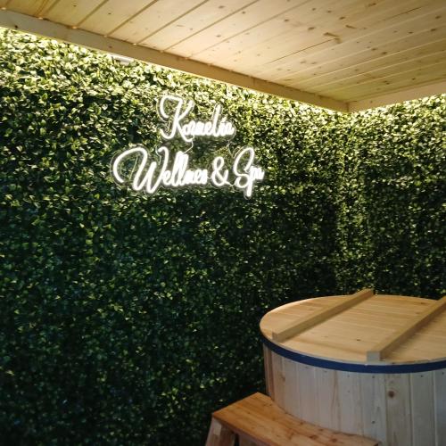 a green wall with a sign that says hello wilderness at Pokoje Gościnne Kornelia- Jacuzzi, sauna ! in Biały Dunajec