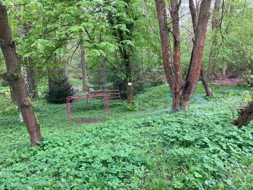 a picnic table in the middle of a forest at Chaloupka ve skalách u rybníka na úchvatné stezce z Kutné Hory do historického Malešova in Miskovice