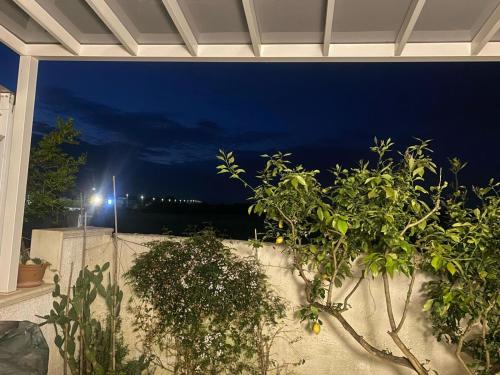 a view of the night from a balcony with plants at Casa vacanze morena in Sant'Isidoro