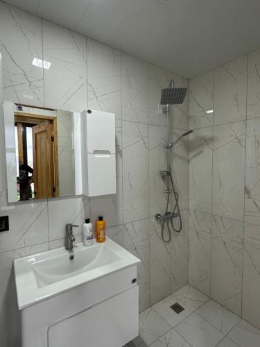un bagno bianco con lavandino e doccia di Eco Villa a Yerevan