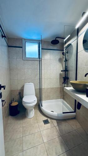 a bathroom with a toilet and a shower and a sink at Villa Koukounaria in Skopelos Town