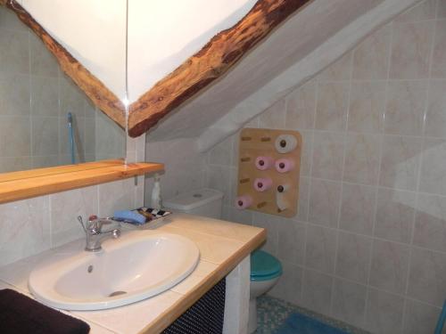 une salle de bain avec un lavabo et des toilettes dans l'établissement Studio à Générargues, en Cévennes, proche Anduze, à Générargues