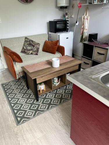 un salon avec un canapé et une table basse dans l'établissement Studio Hortensias, à Cozes