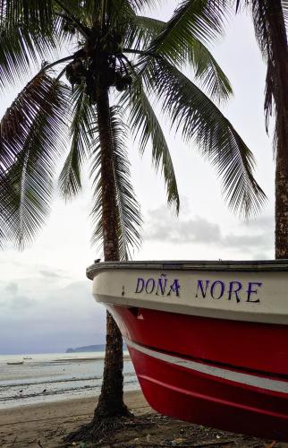 a boat sitting on the beach next to a palm tree at Posada Nore, Nuquí in Arusí