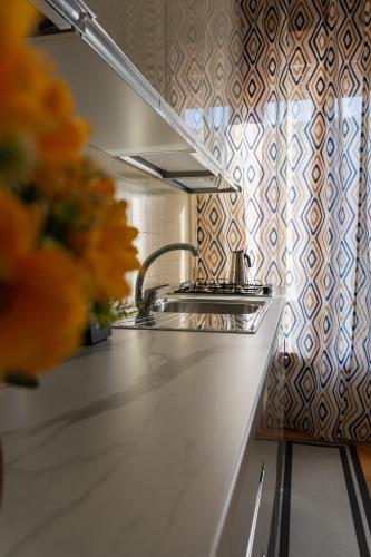 a kitchen with a sink and a counter top at Santa Sofia Suite in Lendinara