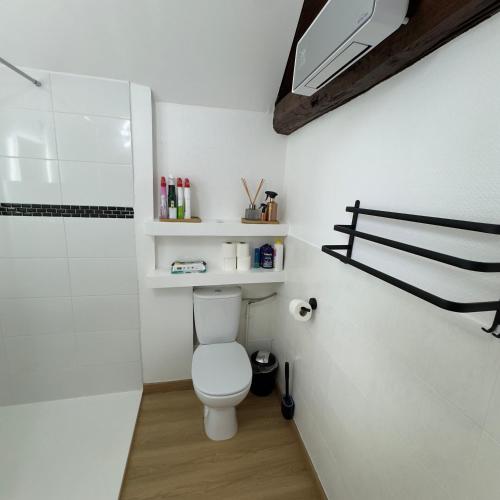 a white bathroom with a toilet and a shower at Le Pétillant in Cramant