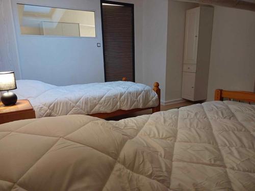 une chambre avec deux lits et une lampe et une fenêtre dans l'établissement la p'tite maison d'olima, à Épinal